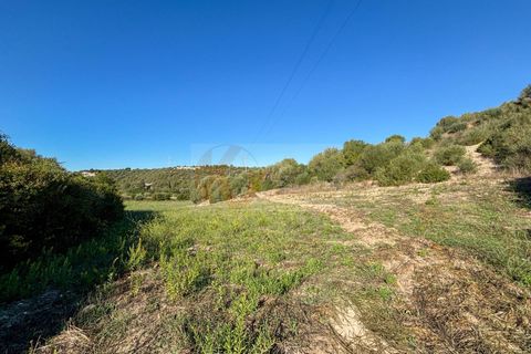 Terra a Sassari, Sassari, Sassari - € 30.000 | Ref: 13849 - foto 19
