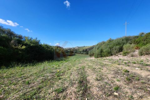 Terra a Sassari, Sassari, Sassari - € 30.000 | Ref: 13849 - foto 20