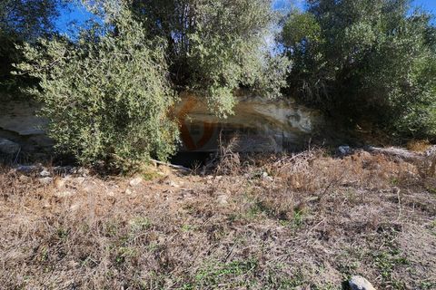 Terra a Sassari, Sassari, Sassari - € 30.000 | Ref: 13849 - foto 21