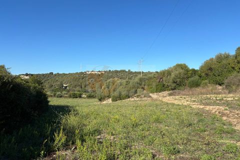 Terra a Sassari, Sassari, Sassari - € 30.000 | Ref: 13849 - foto 24