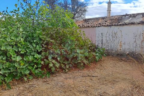 Helårsgrund i Almancil, Faro, Almancil - € 650.000 | Ref: 170250082 - foto 14