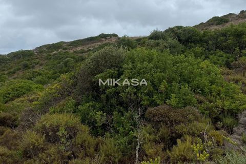 Helårsgrund i Budens, Faro, Budens - € 37.000 | Ref: T115 - foto 2