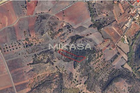 Helårsgrund i Budens, Faro, Budens - € 37.000 | Ref: T115 - foto 4