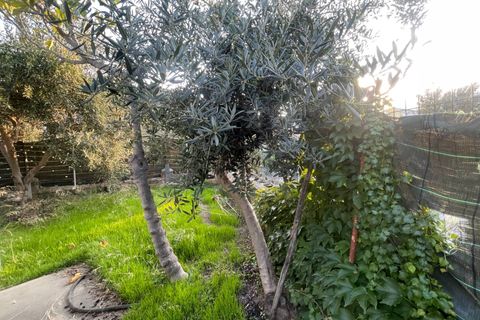 Villa a Monreale, Palermo, Monreale - € 420.000 | Ref: randazzo - foto 50