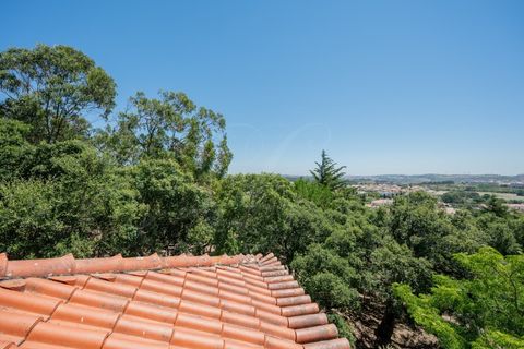 Villa i Alcabideche, Lisbon, Alcabideche - € 1.650.000 | Ref: L41966_1 - foto 35