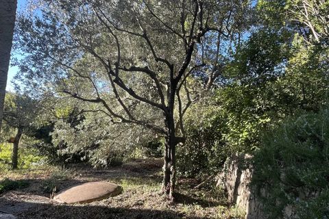 Villa a Callas, Var, Callas - € 375.000 | Ref: 1849 - foto 20