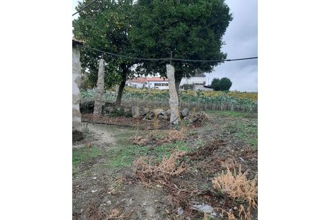 Villa i Guimaraes, Braga, Guimaraes - € 185.000 | Ref: BA-003 - foto 2
