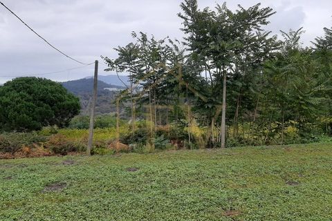 Villa i Guimaraes, Braga, Guimaraes - € 185.000 | Ref: BA-003 - foto 5