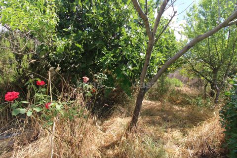 Leilighet i Teramo, Teramo, Teramo - € 110 000 | Ref: T1390 - foto 39
