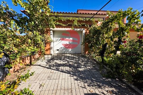 Villa i Poco do Canto, Guarda, Poco do Canto - € 300.000 | Ref: 516/MDA - foto 18