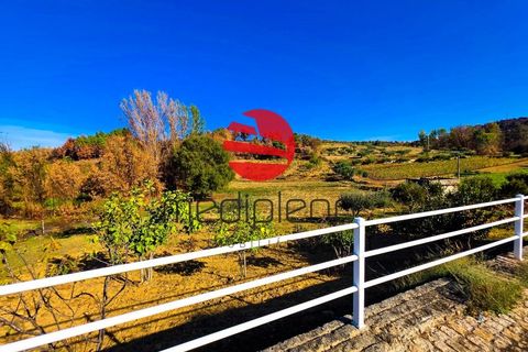 Villa i Poco do Canto, Guarda, Poco do Canto - € 300.000 | Ref: 516/MDA - foto 21