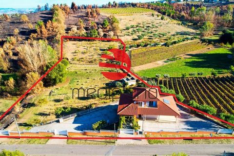 Villa i Poco do Canto, Guarda, Poco do Canto - € 300.000 | Ref: 516/MDA - foto 25