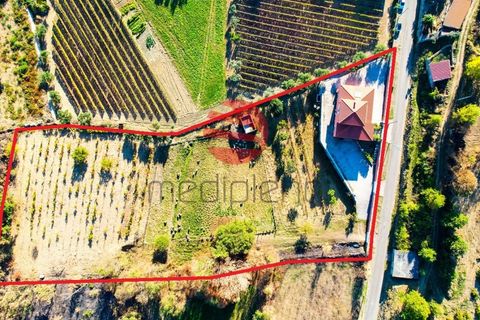 Villa i Poco do Canto, Guarda, Poco do Canto - € 300.000 | Ref: 516/MDA - foto 28