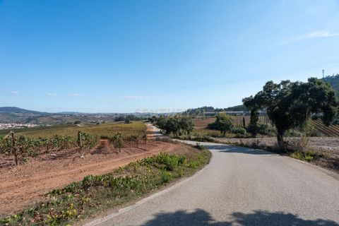 Helårsgrund i Torres Vedras, Lisbon, Torres Vedras - € 140.000 | Ref: C0444-00756 - foto 5