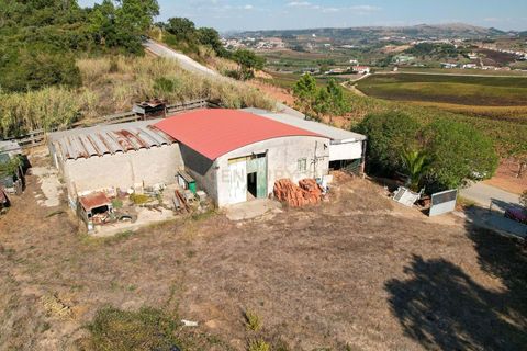 Helårsgrund i Torres Vedras, Lisbon, Torres Vedras - € 140.000 | Ref: C0444-00756 - foto 21