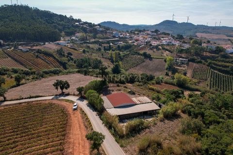 Helårsgrund i Torres Vedras, Lisbon, Torres Vedras - € 140.000 | Ref: C0444-00756 - foto 22
