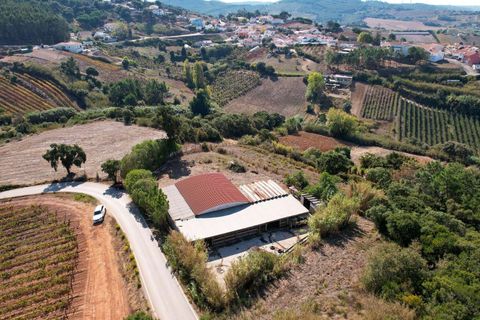 Helårsgrund i Torres Vedras, Lisbon, Torres Vedras - € 140.000 | Ref: C0444-00756 - foto 23