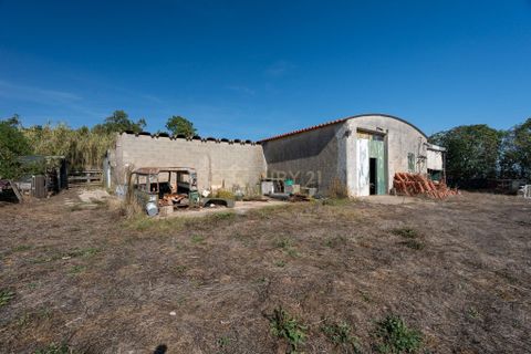 Helårsgrund i Torres Vedras, Lisbon, Torres Vedras - € 140.000 | Ref: C0444-00756 - foto 25