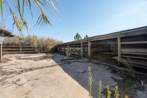 Helårsgrund i Torres Vedras, Lisbon, Torres Vedras - € 140.000 | Ref: C0444-00756 - foto 30