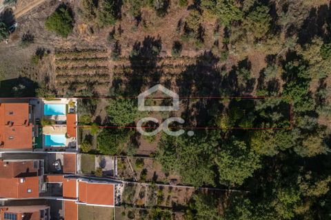 Villa i Coimbra, Coimbra, Coimbra - € 695.000 | Ref: 385/M/00965 - foto 40