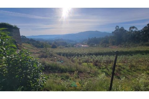 Helårsgrund i Ponte de Lima, Viana do Castelo, Ponte de Lima - € 77.500 | Ref: PTL-019-001 - foto 2
