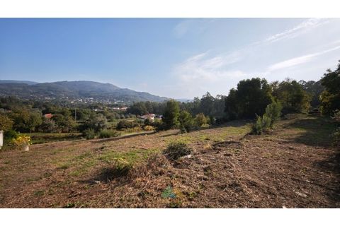 Helårsgrund i Ponte de Lima, Viana do Castelo, Ponte de Lima - € 77.500 | Ref: PTL-019-001 - foto 4