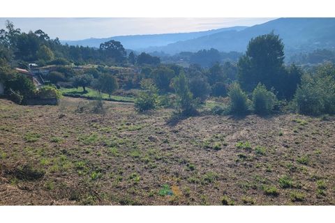 Helårsgrund i Ponte de Lima, Viana do Castelo, Ponte de Lima - € 77.500 | Ref: PTL-019-001 - foto 5
