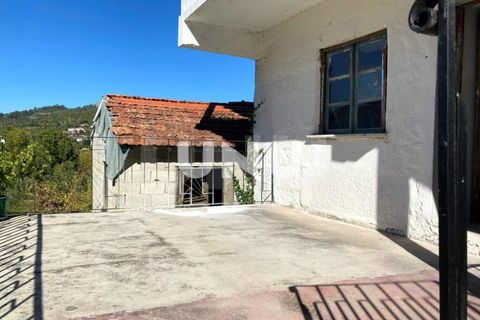 Farm i Vouzela, Viseu, Vouzela - € 220.000 | Ref: UNU.I.1832.15002 - foto 22