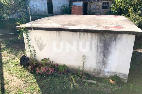 Farm i Vouzela, Viseu, Vouzela - € 220.000 | Ref: UNU.I.1832.15002 - foto 30