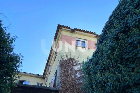 Farm i Vouzela, Viseu, Vouzela - € 220.000 | Ref: UNU.I.1832.15002 - foto 35