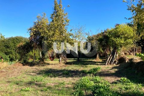 Farm i Vouzela, Viseu, Vouzela - € 220.000 | Ref: UNU.I.1832.15002 - foto 48