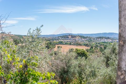 Villa i Dominguizo, Castelo Branco, Dominguizo - € 96.380 | Ref: CAS_307 - foto 25