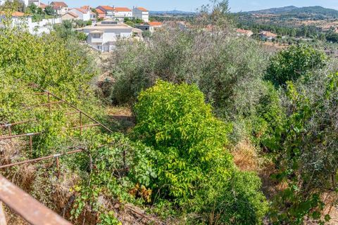 Villa i Dominguizo, Castelo Branco, Dominguizo - € 96.380 | Ref: CAS_307 - foto 26