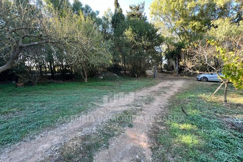 Leilighet i Alghero, Sassari, Alghero - € 137 000 | Ref: ALGHE69 - foto 6