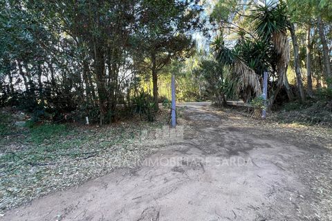 Leilighet i Alghero, Sassari, Alghero - € 137 000 | Ref: ALGHE69 - foto 7