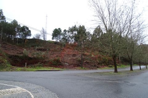 Terra a Fafe, Braga, Fafe - € 39.000 | Ref: 003-2 - foto 6