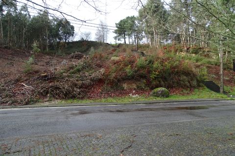 Terra a Fafe, Braga, Fafe - € 39.000 | Ref: 003-2 - foto 7
