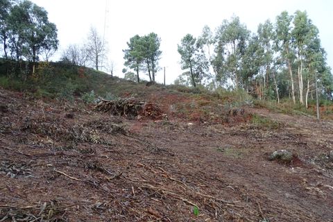 Terra a Fafe, Braga, Fafe - € 39.000 | Ref: 003-2 - foto 9