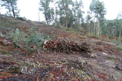 Terra a Fafe, Braga, Fafe - € 39.000 | Ref: 003-2 - foto 11