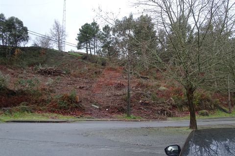 Terra a Fafe, Braga, Fafe - € 39.000 | Ref: 003-2 - foto 13