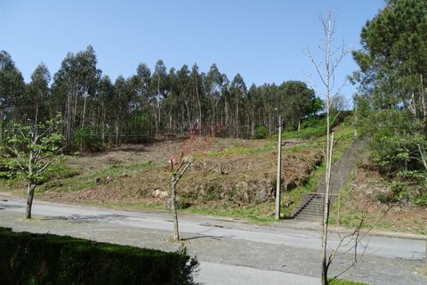 Terra a Fafe, Braga, Fafe - € 39.000 | Ref: 003-2 - foto 2