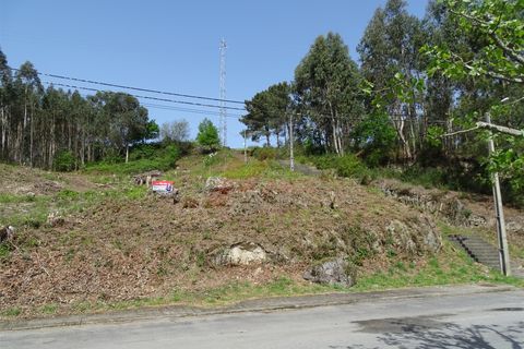 Terra a Fafe, Braga, Fafe - € 39.000 | Ref: 003-2 - foto 3