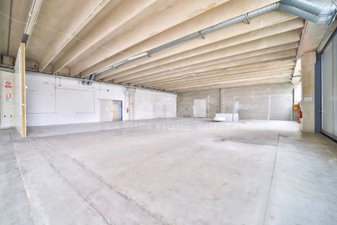 L'establiment comercial a Liscate, Milan, Liscate - € 2.860/mes | Ref: NEG.LISCATE-TS2860A - foto 12