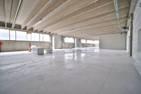 L'establiment comercial a Liscate, Milan, Liscate - € 2.860/mes | Ref: NEG.LISCATE-TS2860A - foto 14