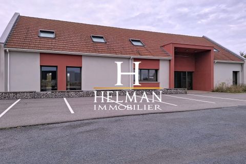 L'establiment comercial a Tatinghem, Pas-de-Calais, Tatinghem - € 3.700/mes | Ref: LP214-HELMAN - foto 2