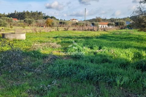 Tomt i Soure, Coimbra, Soure - € 30 000 | Ref: 1650/AV - foto 2