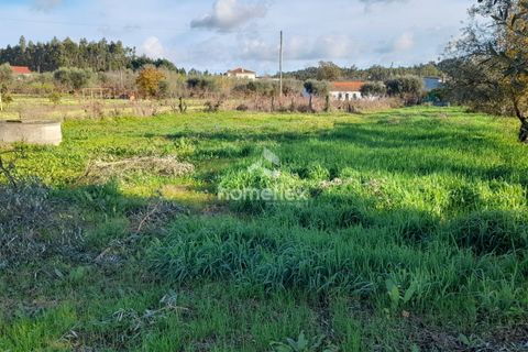 Tomt i Soure, Coimbra, Soure - € 30 000 | Ref: 1650/AV - foto 3