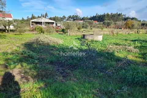 Tomt i Soure, Coimbra, Soure - € 30 000 | Ref: 1650/AV - foto 4