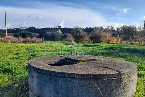Tomt i Soure, Coimbra, Soure - € 30 000 | Ref: 1650/AV - foto 5