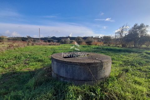Tomt i Soure, Coimbra, Soure - € 30 000 | Ref: 1650/AV - foto 6